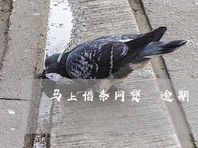 马上借条网贷 逾期 马上借条网贷 逾期